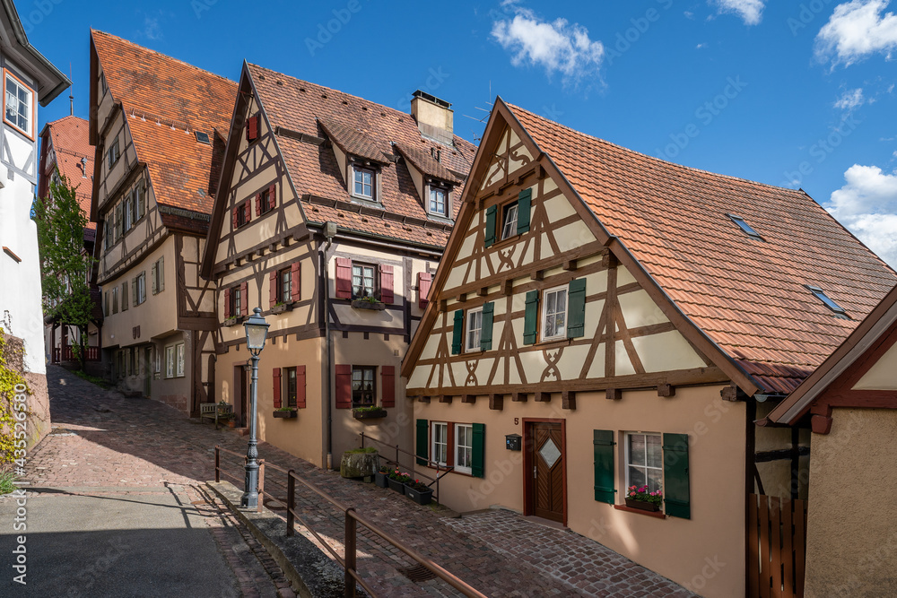 two old buildings in black forest village