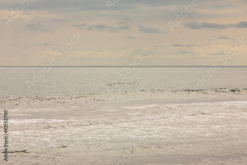 Fototapeta Naklejka Na Ścianę i Meble -  Brown pelican (Pelecanus occidentalis) pod over the water and sky