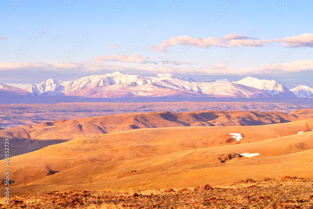 Kurai steppe in the Altai Mountains. Snow-capped peaks of the North Chui range in the morning light in spring under a blue sky. Siberia, Russia