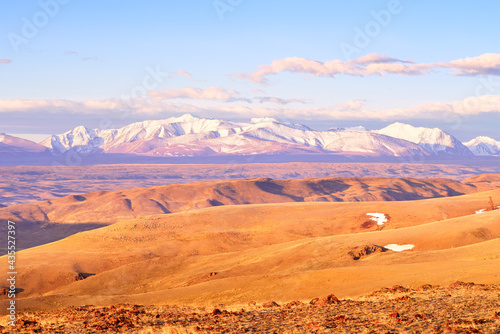 Kurai steppe in the Altai Mountains. Snow-capped peaks of the North Chui range in the morning light in spring under a blue sky. Siberia  Russia