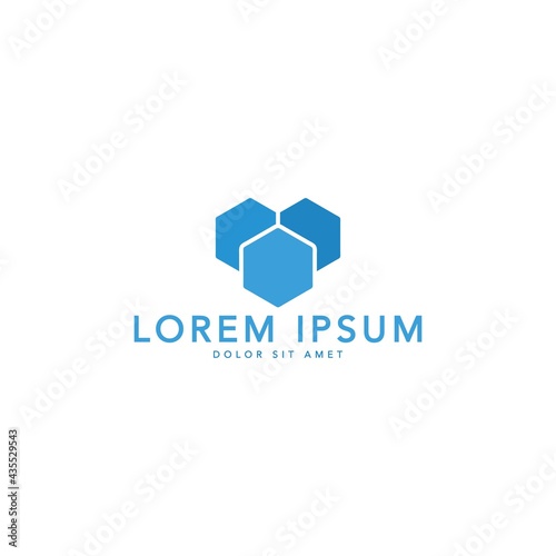 minimalist and simple hexagon logo vector

