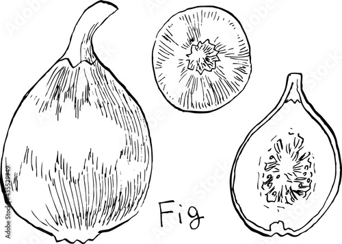 This is a black-and-white illustration of figs drawn with a hand-drawn pen.