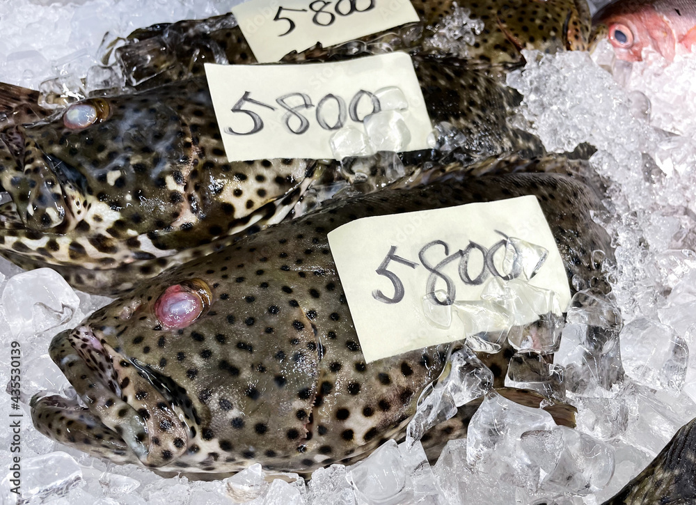 アーラミーバイの画像 Stock 写真 Adobe Stock