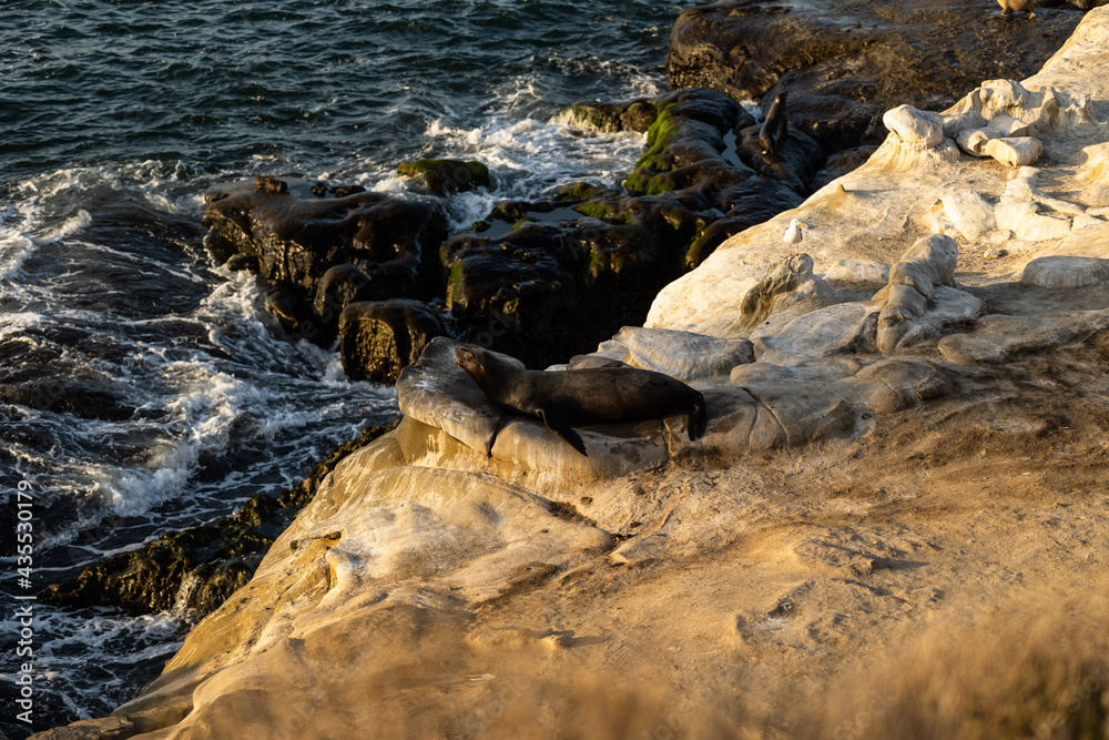 Fototapeta premium rocks on the beach