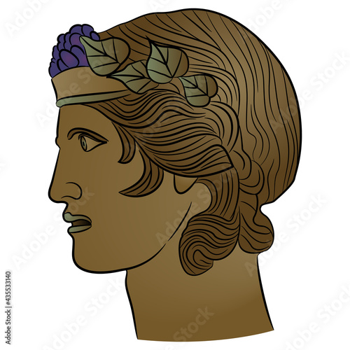 Head of ancient Greek god of wine Dionysus or Bacchus. Portrait of a young handsome man in profile wearing grape and ivy wreath.