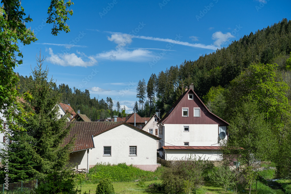 small historic german village between forest