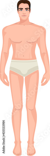 Diagram of the male body, front view, in underwear. Blank human body template for medical infographics. Stylized color vector illustration of a clipart.