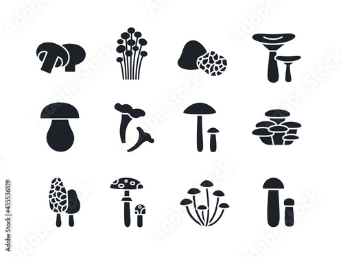 Mushrooms silhouette set. Black vector silhouettes. Fill solid icon. Modern glyph design. Champignon enoki truffle russula porcini cep chanterelle oyster morel fly agaric honey toadstool birch bolete