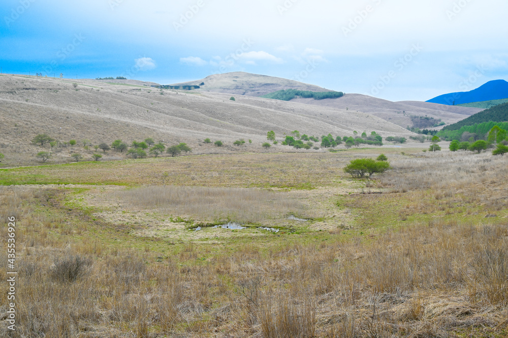 Fototapeta premium 霧ヶ峰の湿地帯