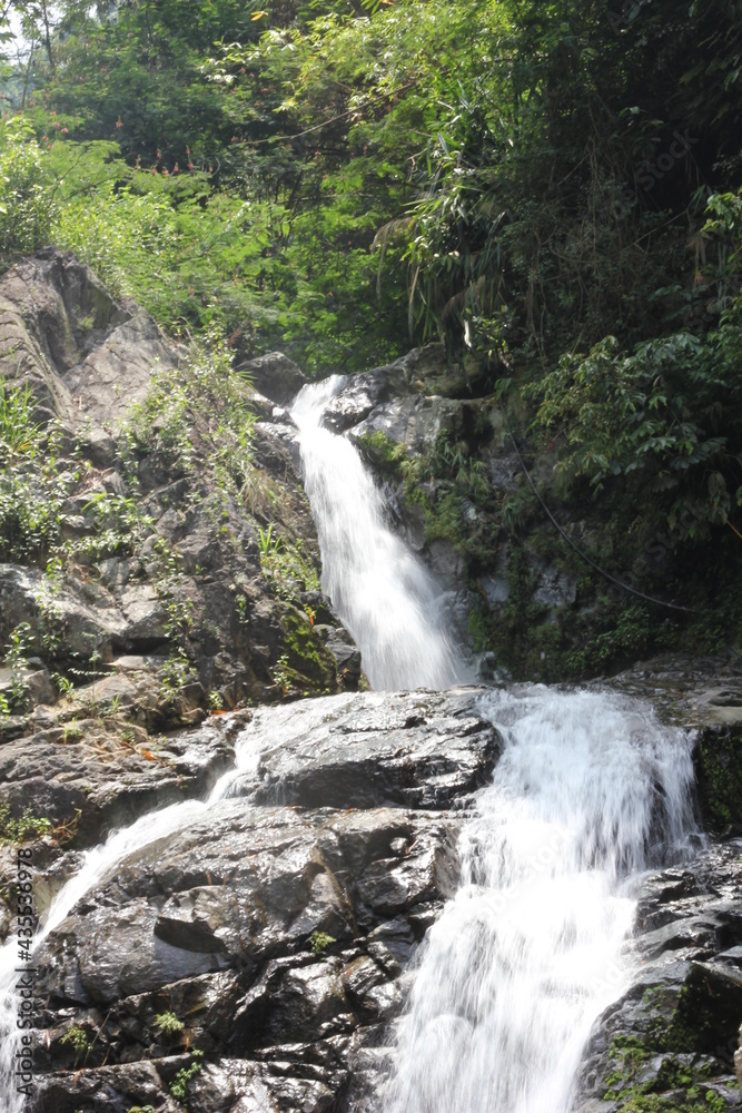 Fototapeta premium waterfall in the forest