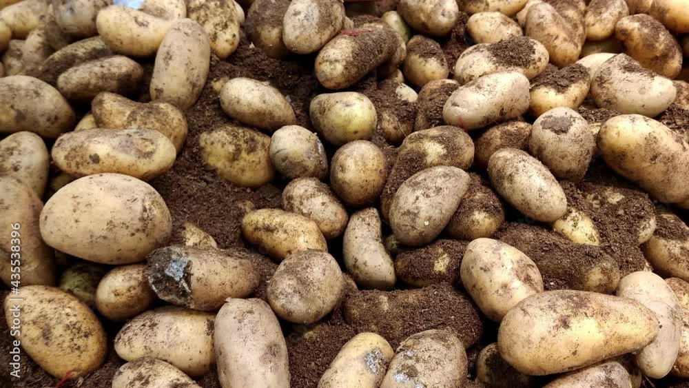 Stack of potatoes in grocery store. Industry of selling products Stack of potatoes in grocery store. Industry of selling products