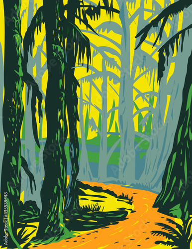 WPA Poster Art of bigleaf maple in Hoh Rainforest located on the Olympic Peninsula in Olympic National Park in Washington State done in works project administration style or federal art project style.