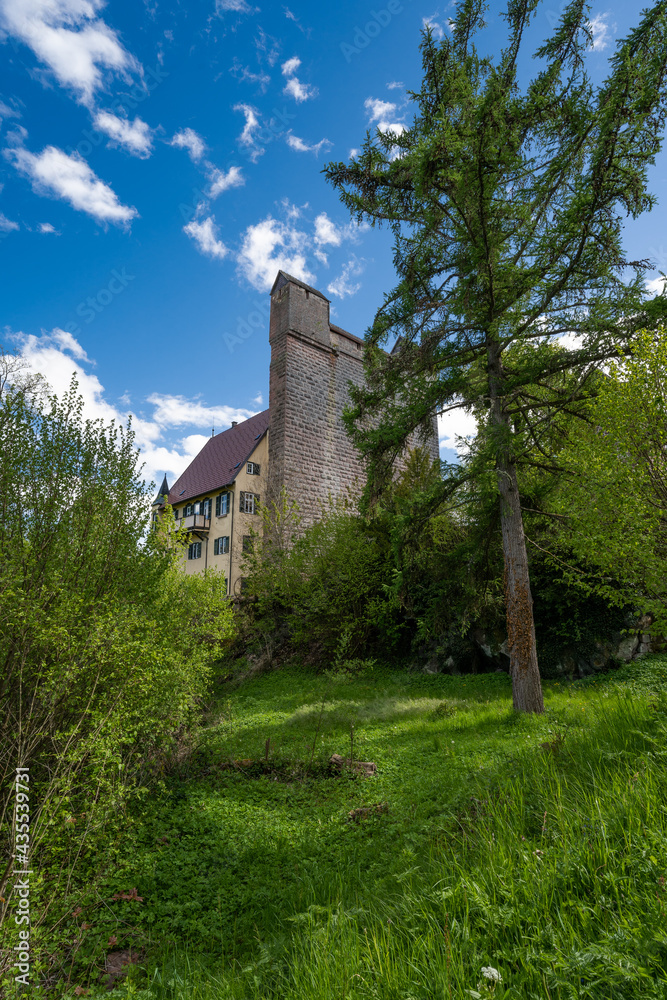 historic castle with meadow in black forest village