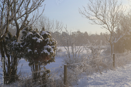 A winterday behind the barn in Gotland 2  photo