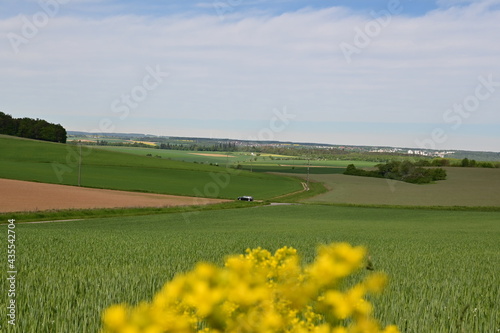 Panorama bei Wertheim über Felder und HImmel