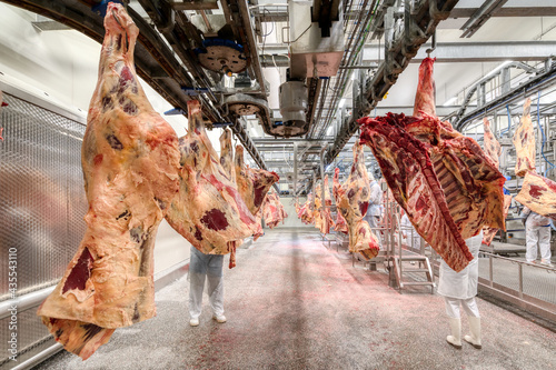 Chopped beef carcasses. Overhead conveyor for cow carcasses, meat production