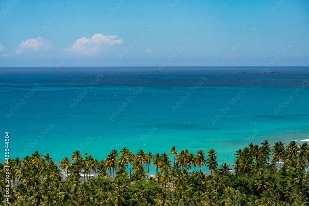 Horizontal lines of sky, blue sea water and row of palms with copyspace. Background image with copy space 