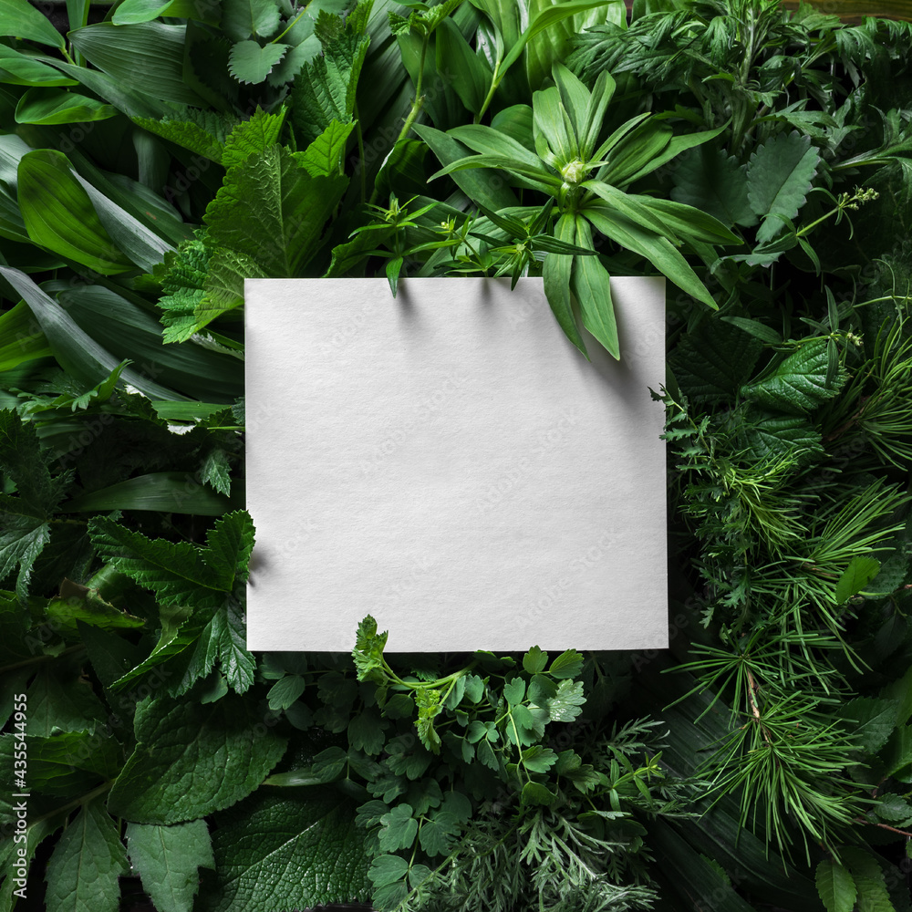 Green plants and paper blank card Green plants and paper blank card