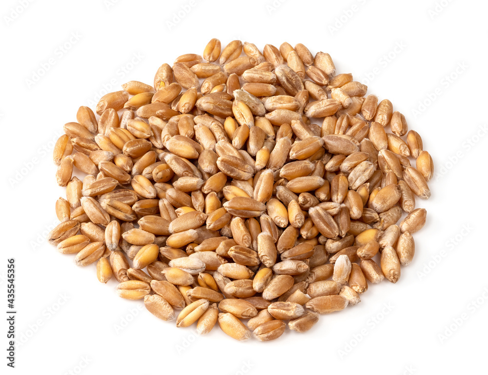 handful of wholegrain wheat grain closeup on white
