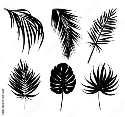 Pam tree and exotic leaves black shapes vector set