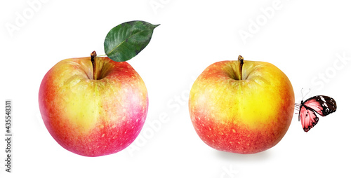 Color apple on white background