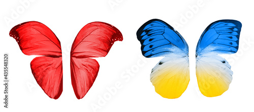 Color butterfly wings, isolated on white background