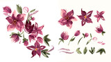 Watercolor floral elements
for design of invitations, 
greeting cards