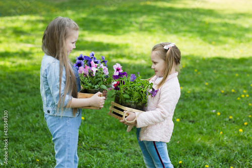 two little girls sisters plant flowers in the garden near the houme on spring day. Kid help mom work in the garden. slow life. enjoy the little things.  photo