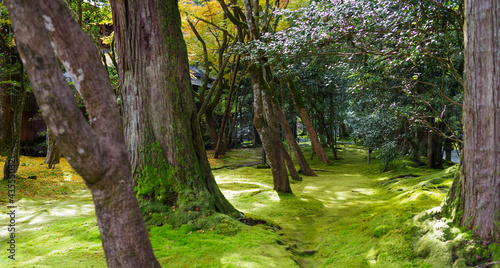 日本の有名な観光地の石川県小松市の那谷寺の庭 © goro20