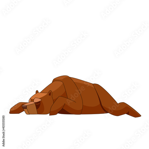 Grizzly brown bear sleeping. Cartoon flat vector illustration isolated on white background