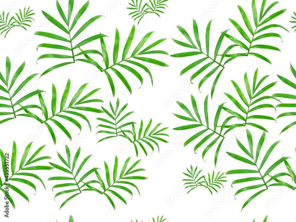 Summer seamless pattern of isolated leaves on a white background