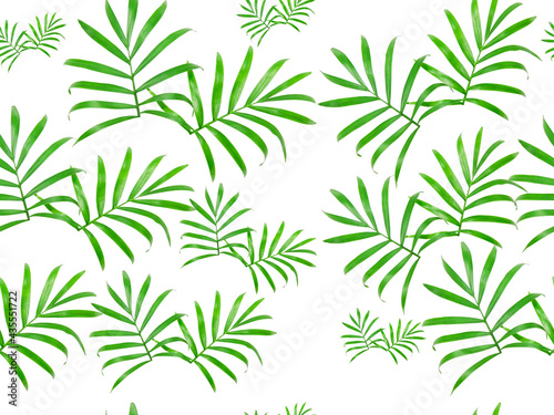 Summer seamless pattern of isolated leaves on a white background