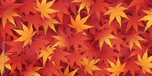 紅葉が積もって敷き詰められた落ち葉の水彩風のベクターイラスト背景(絨毯)