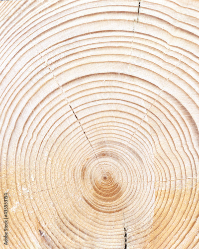 wood surface with circles and cracks, light wooden texture may used as background