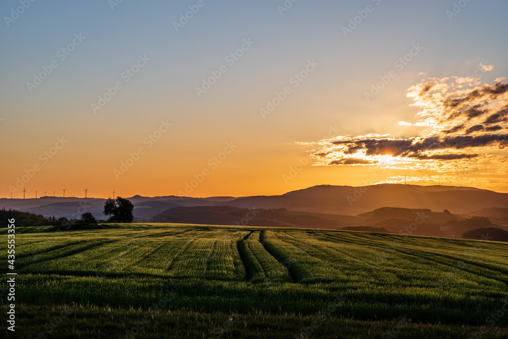Obraz premium sunrise over the field