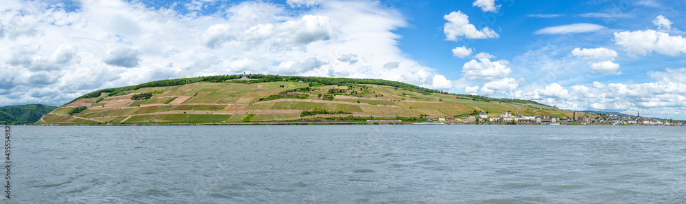 scenic view to Ruedesheim with rhine valley