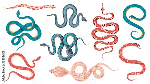 Mystic snakes. Boho magic poisonous snake with astrology symbols, floral, skeleton and abstract patterns. Esoteric serpent tattoo vector set