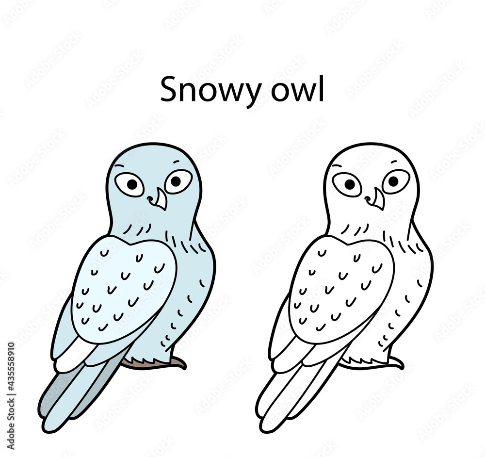 Funny cute bird snowy owl isolated on white background. Linear, contour, black and white and colored version. Illustration can be used for coloring book and pictures for children Funny cute bird snowy owl isolated on white background. Linear, contour, black and white and colored version. Illustration can be used for coloring book and pictures for children