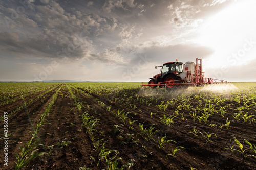 Tractor spraying corn field photo