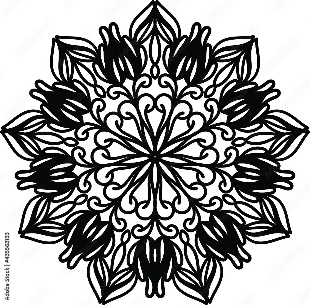 black and white flower black and white flower