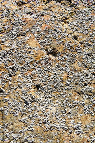 Seamless rock texture background closeup 