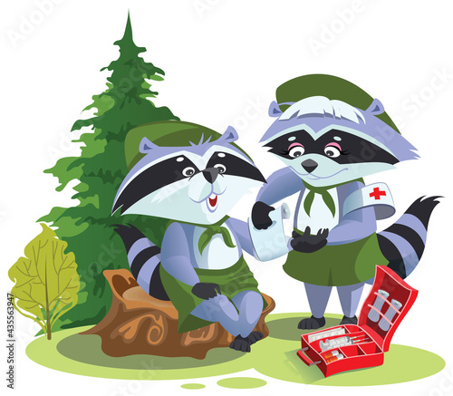 Scout raccoon bandaging first aid on hike. Boy Scout Medic