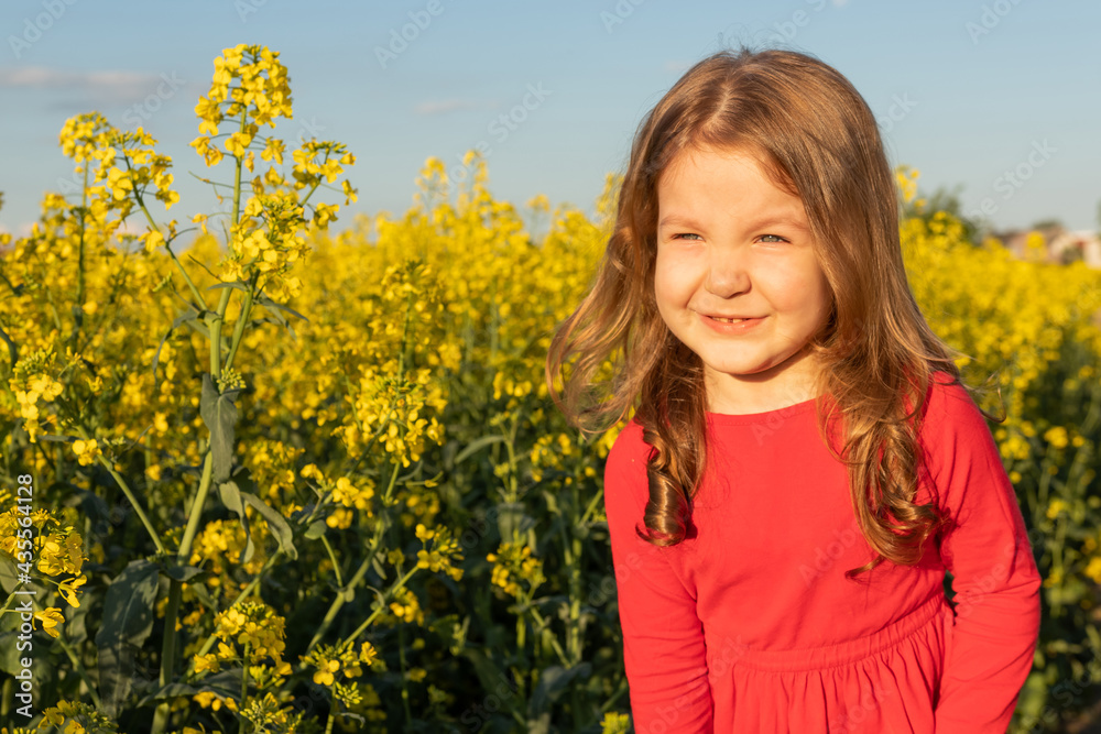 Little cute curly red-haired girl in a red dress squints from the sun. A child on a walk in a yellow rapeseed field. The concept of the unity of man and nature. Little cute curly red-haired girl in a red dress squints from the sun. A child on a walk in a yellow rapeseed field. The concept of the unity of man and nature.