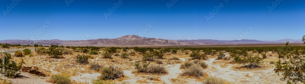 Panorama shot of desert bush in flat american desert in california with mountains onhorizon