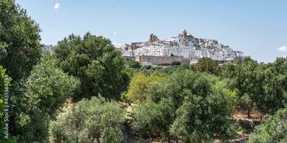 Obraz premium Glimpses of ancient Puglia. The white city. Ostuni.