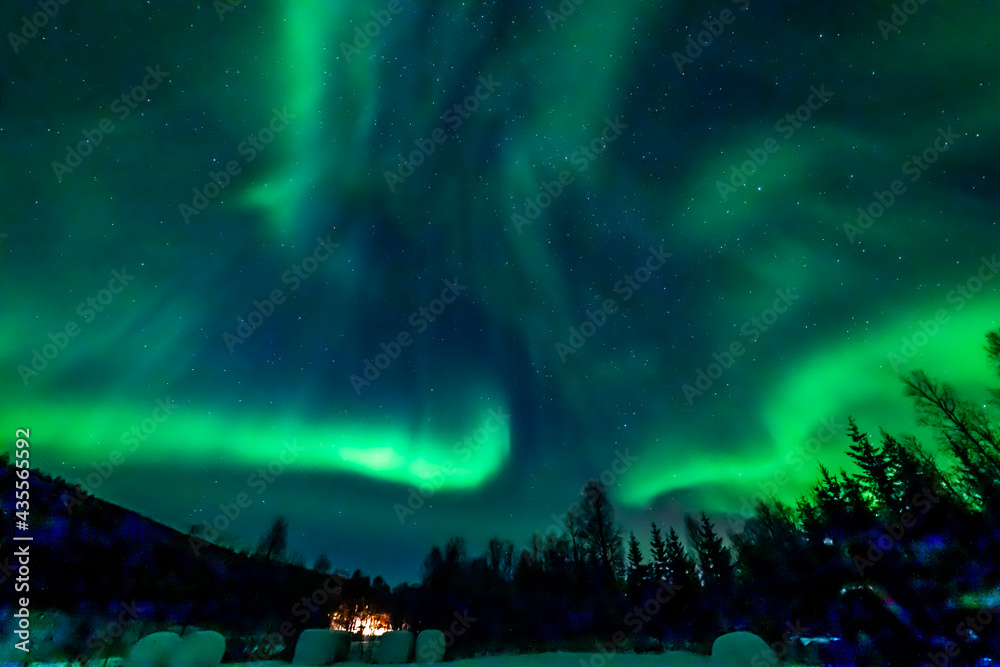 custom made wallpaper toronto digitalwundervolle Nordlichter in Troms in den Lyngenalps. begeisterndes Lichtspiel am nächtlichen Himmel, tanzende Lady, überwältigende Aurora Borealis bei Tromsö