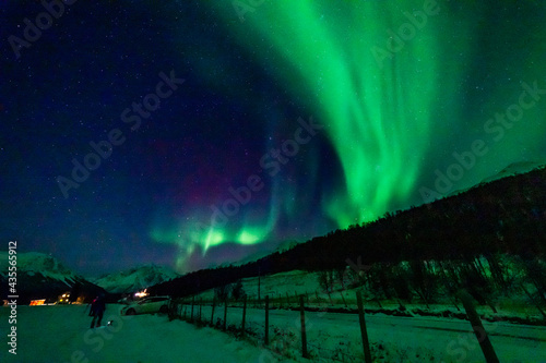 Fototapeta Naklejka Na Ścianę i Meble -  wundervolle Nordlichter in Troms in den Lyngenalps. begeisterndes Lichtspiel am nächtlichen Himmel, jubelnde Menschen. Aurora Borealis bei Tromsö