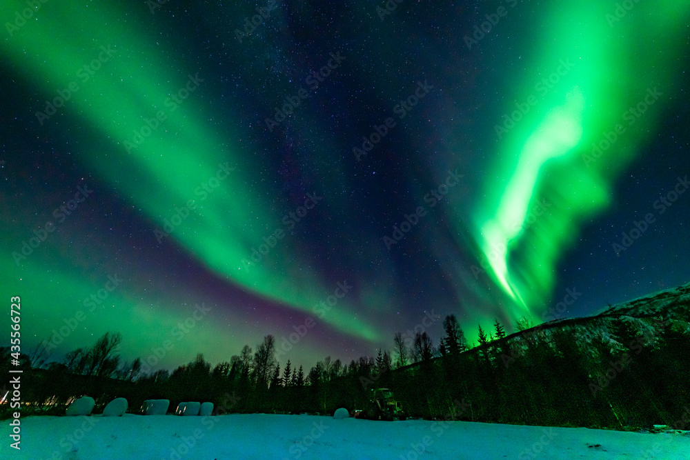 wundervolle Nordlichter in Troms in den Lyngenalps. begeisterndes Lichtspiel am nächtlichen Himmel, tanzende Lady, überwältigende Aurora Borealis bei Tromsö wundervolle Nordlichter in Troms in den Lyngenalps. begeisterndes Lichtspiel am nächtlichen Himmel, tanzende Lady, überwältigende Aurora Borealis bei Tromsö