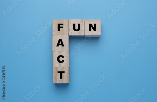 A picture of wooden block written fun fact on blue background. Can be use for education