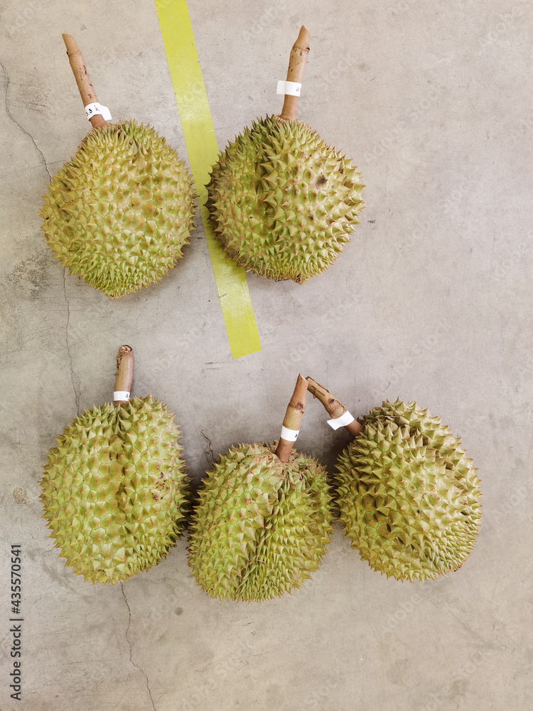 Top view of durian fruit on the floor Top view of durian fruit on the floor
